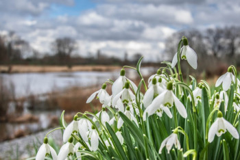 Фотография к новости: Синоптики рассказали о погоде в Казахстане 16 апреля