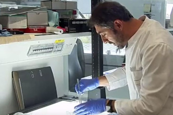 Фотография к новости: Ученые создали прозрачные человеческие органы