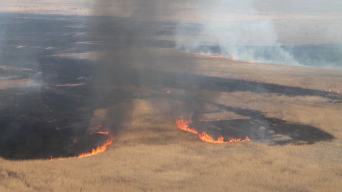  ДЧС Павлодарской области