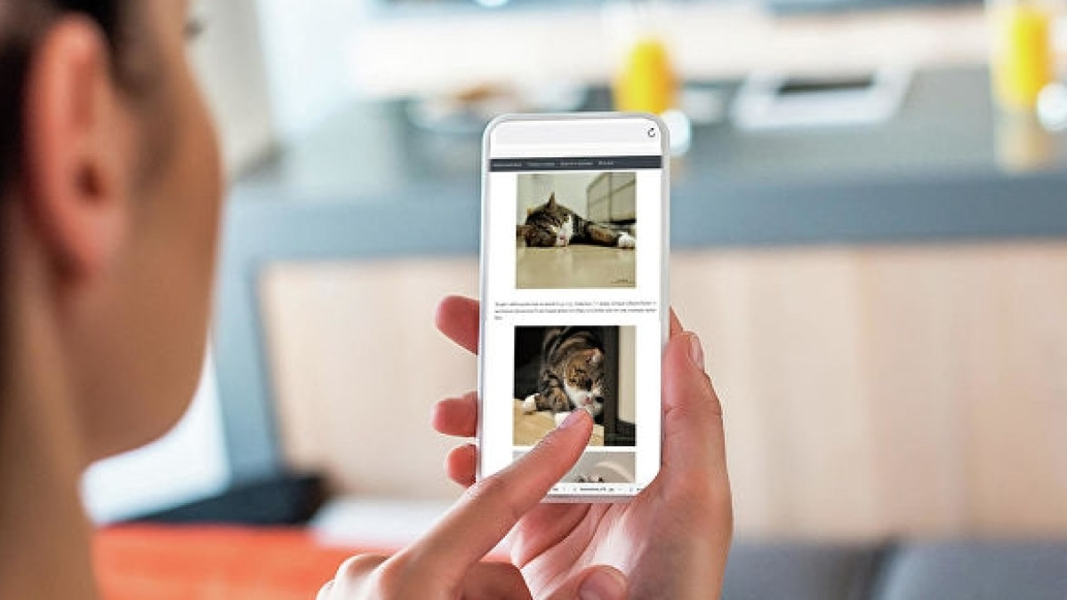  Depositphotos / VitalikRadko