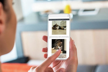 Фотография к новости: Составлен мировой рейтинг 20 лучших смартфонов