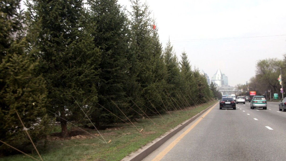  акимат города Алматы