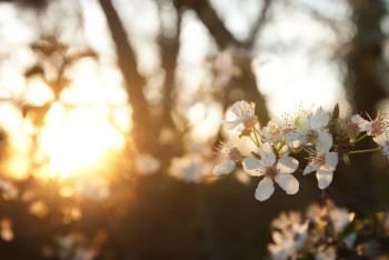 Фотография к новости: Синоптики рассказали о погоде в Казахстане 5 мая