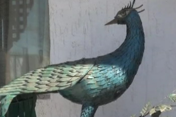 Фотография к новости: Нефтяник из Жанаозена создаёт шедевры из мусора