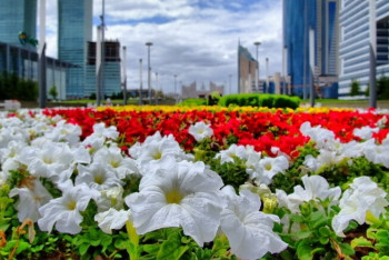 Фотография к новости: В Нур-Султане посадят более 8 млн цветов