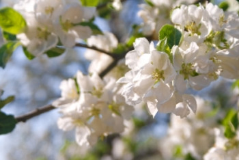 Фотография к новости: На 6 градусов выше нормы ожидается температура в ближайшие дни в РК 