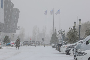 Фотография к новости: Из-за холодов в столице перенесли первый общегородской субботник 