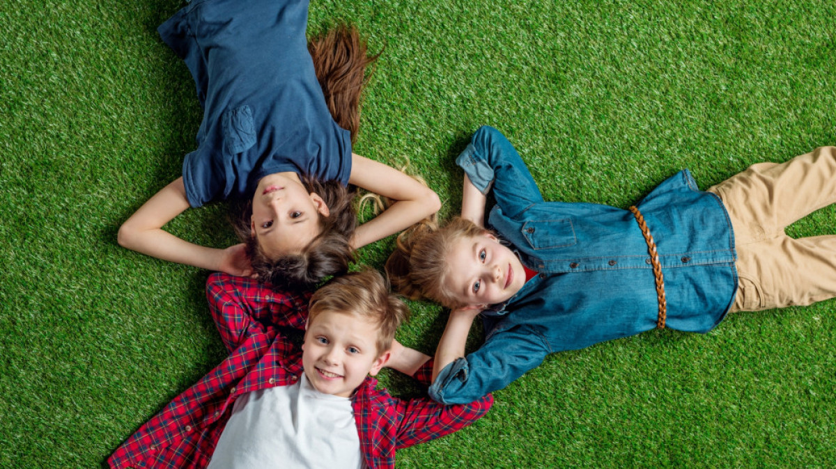  protectldschildren.org