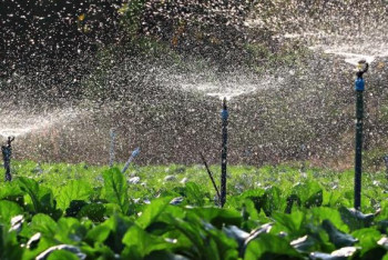 Фотография к новости: В Туркестанской области восстанавливают ирригационные сети