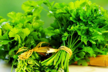 Фотография к новости: Медики назвали самую полезную зелень