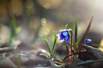 Фотография к новости: Синоптики рассказали о погоде в Казахстане 10 апреля