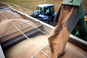 Фотография к новости: Наша продукция должна быть узнаваема за рубежом – Мамин поручил наращивать экспорт через зонтичные бренды