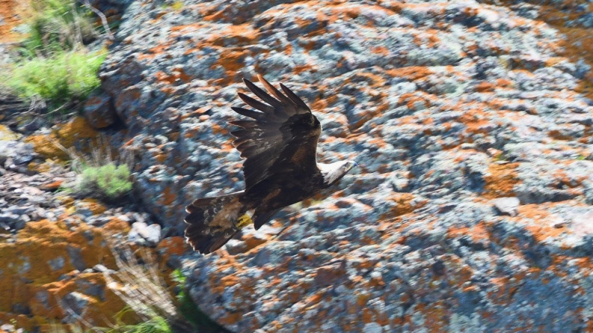  пресс-служба АО «Эфес Казахстан» 