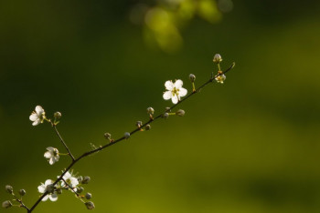 Фотография к новости: Синоптики рассказали о погоде в Казахстане 12 апреля