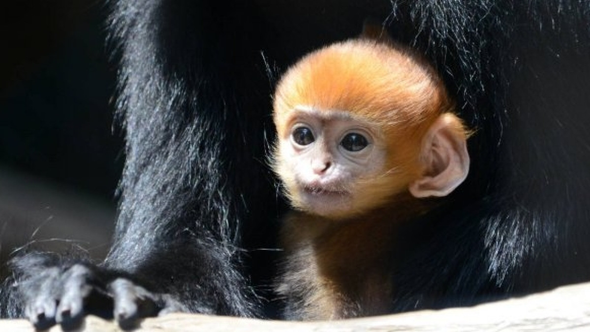  открытые источники