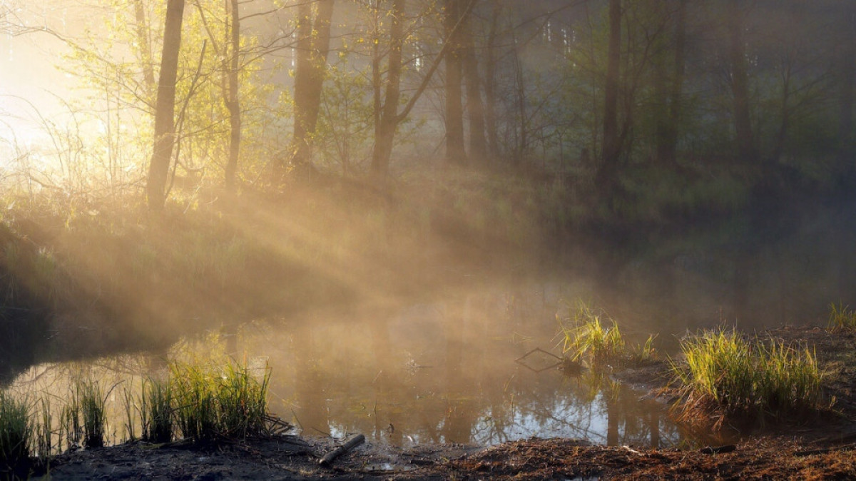  undecimus.files.wordpress.com