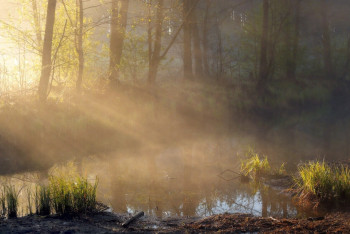Фотография к новости: Синоптики рассказали о погоде в Казахстане 11 апреля