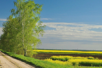 Фотография к новости: Синоптики рассказали о погоде в Казахстане 16 мая