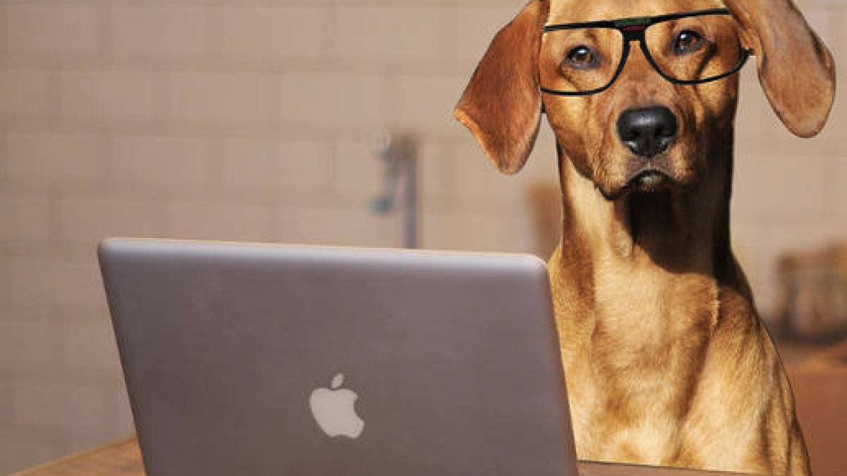  открытые источники