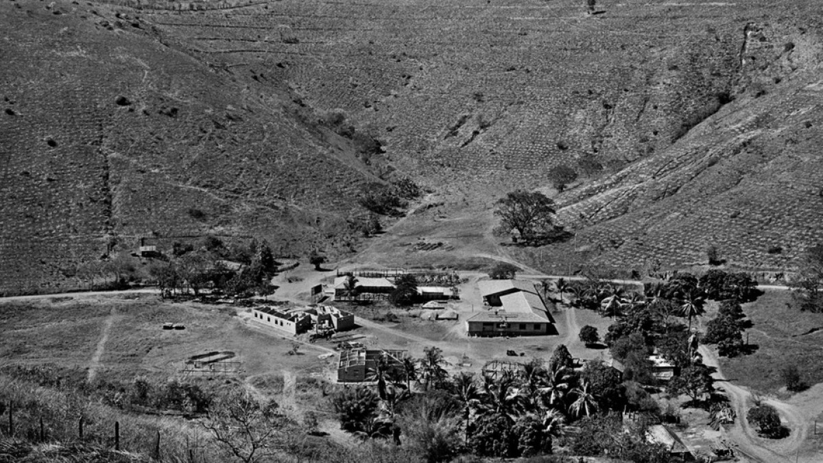  Facebook / Instituto Terra