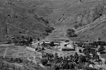 Фотография к новости: Супруги восстановили целый лес, посадив свыше 2 млн деревьев за 20 лет