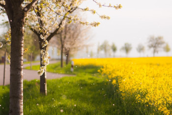 Фотография к новости: Синоптики рассказали о погоде в Казахстане 15 мая