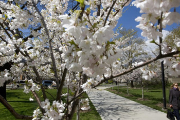 Фотография к новости: Синоптики обещают теплую погоду на 11 мая в Казахстане