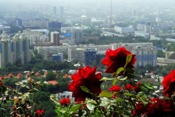 Фотография к новости: Синоптики рассказали о погоде в Казахстане 14 мая