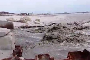 Фотография к новости: После видео в интернете экологи взяли пробы воды в Каспие