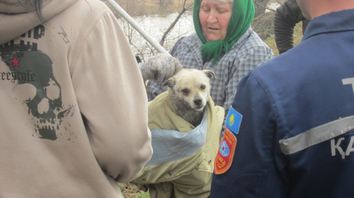  пресс-служба ДЧС ВКО