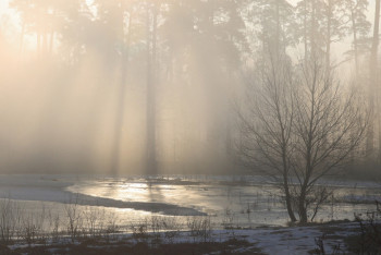 Фотография к новости: Синоптики рассказали о погоде в Казахстане 4 апреля