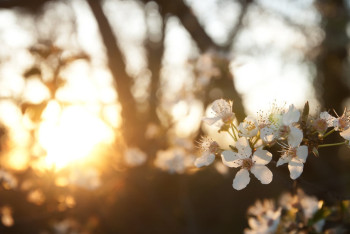 Фотография к новости: Синоптики рассказали о погоде в Казахстане 23 апреля
