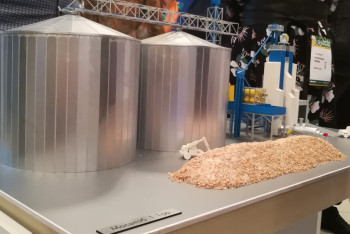 Фотография к новости: Качество зерна существенно снизилось в Костанайской области