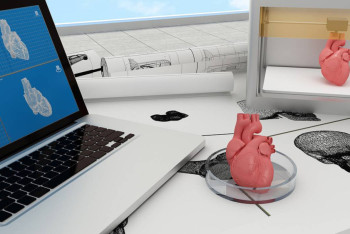 Фотография к новости: В Израиле впервые в мире напечатали живое сердце на 3D-принтере