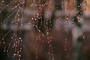 Фотография к новости: Синоптики рассказали о погоде в Казахстане 26 апреля