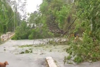 Фотография к новости: Число жертв циклона "Фани" в Индии возросло до 64 