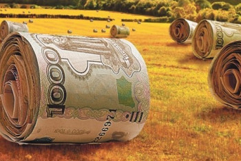 Фотография к новости: В Казахстане вновь предложили создать Земельный банк