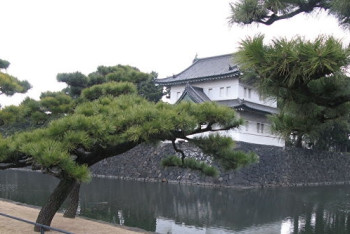 Фотография к новости: В Японии Императорский дворец открыли для желающих увидеть цветение сакуры