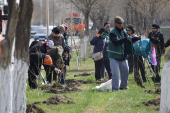 Фотография к новости: Тысячи саженцев бесплатно раздадут жителям Атырау 
