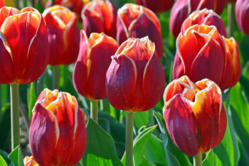 Фотография к новости: В Казахстане потеплеет 