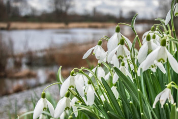 Фотография к новости: Синоптики рассказали о погоде в Казахстане 24 апреля