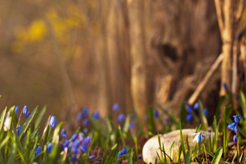 Фотография к новости: Синоптики рассказали о погоде в Казахстане 13 апреля
