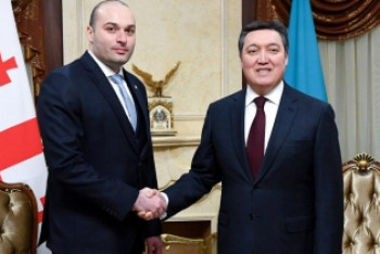 Фотография к новости: Мамин провел переговоры с премьер-министром Грузии Бахтадзе