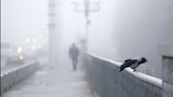 Фотография к новости: Местами осадки, туман и гололёд ожидаются в Казахстане 13 декабря