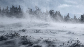 Фотография к новости: На большей части  Казахстана сохранится неустойчивый характер погоды