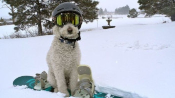 Фотография к новости: О погоде в Казахстане на 21 февраля рассказали синоптики