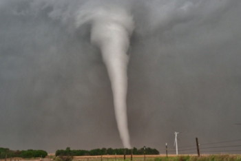 Фотография к новости: Торнадо сняли очевидцы в Жамбылской области