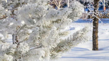 Фотография к новости: Похолодание ожидается в Казахстане в ближайшие три дня