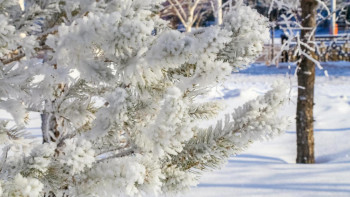 Фотография к новости: О погоде в Казахстане 2 марта рассказали синоптики
