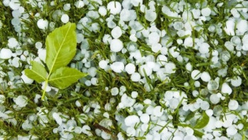 Фотография к новости: Усиление ветра и град ожидаются в Казахстане 1 августа   